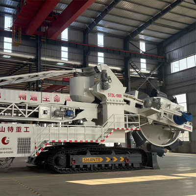 Kostengünstiger Bucket Wheel Stapler Reclaimer für Port