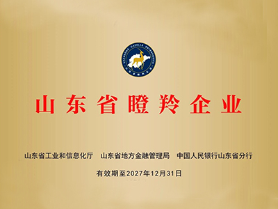 Announcement! Shandong Shante Heavy Industry Machinery Co., Ltd. Honored as a 2024 Shandong Province "Gazelle Enterprise"  !